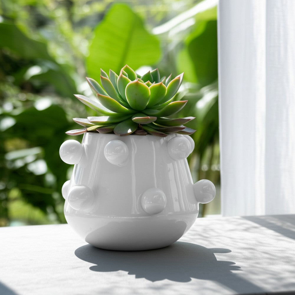Outdoor Decorative Planter | 3D Raised Bubble Design | 8" White Ceramic