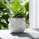 Outdoor Decorative Planter | 3D Raised Bubble Design | 8" White Ceramic