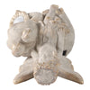 Cosm Garden Statue Fairy Seated on Solar Frog | Ivory Polyresin 15"