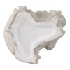Cosm Garden Statue Fairy Seated on Solar Frog | Ivory Polyresin 15"