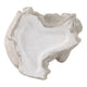 Cosm Garden Statue Fairy Seated on Solar Frog | Ivory Polyresin 15"