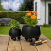 Modern Outdoor Garden Planter Set of 2 | Modern Black Iron Ball Footed