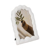Reis Decorative 5x7 Photo Frame | Wavy Arched Design | White Polyresin