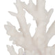 Coral Branch Bookend on Clear Glass Base Set of 2 | White Polyresin