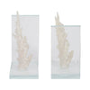 Coral Branch Bookend on Clear Glass Base Set of 2 | White Polyresin