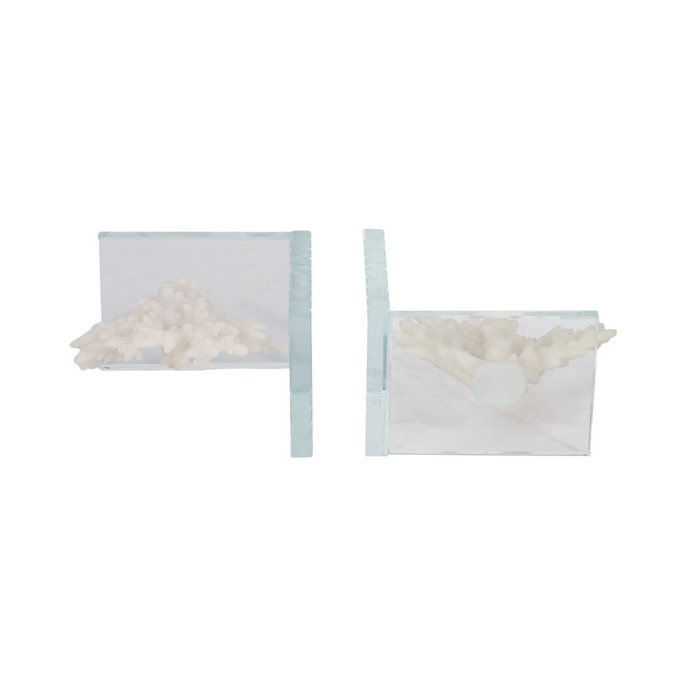 Coral Branch Bookend on Clear Glass Base Set of 2 | White Polyresin
