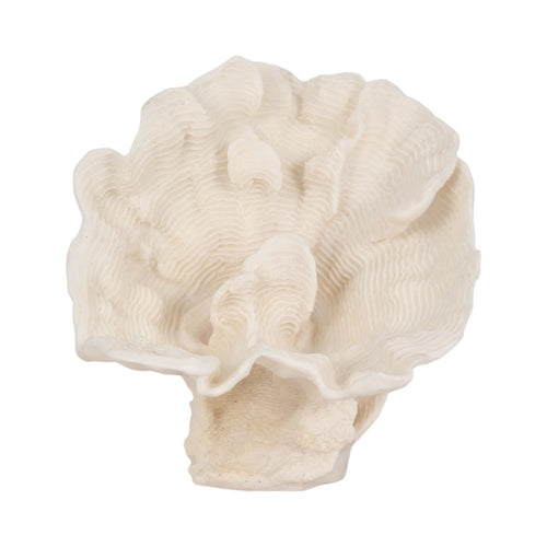 Coastal Inspired Coral Fan Accent Decor | 12" Textured Ivory Resin