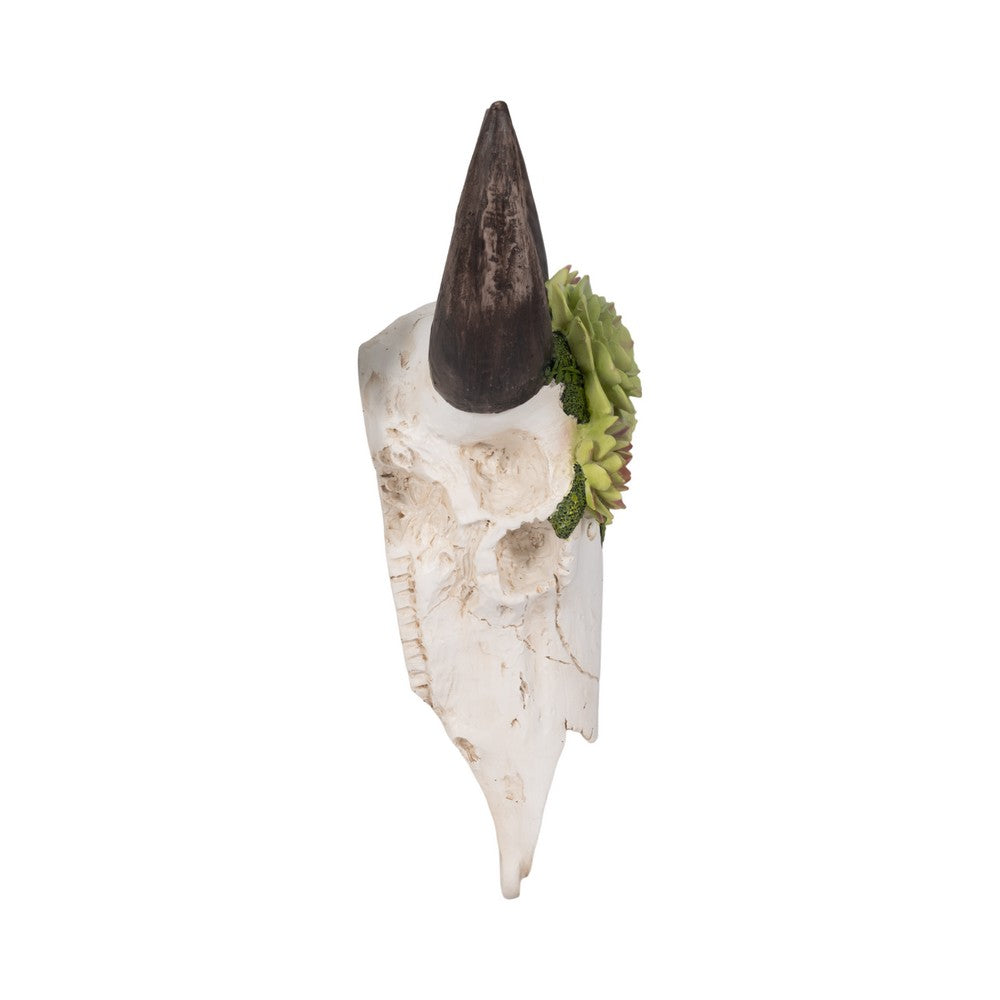 Decorative Wall Sculpture w Succulents | Faux Bull Skull | 18" Ivory