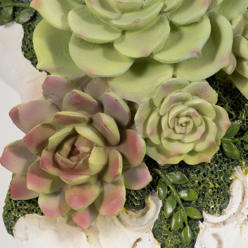 Decorative Wall Sculpture w Succulents | Faux Bull Skull | 18" Ivory