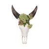 Decorative Wall Sculpture w Succulents | Faux Bull Skull | 18" Ivory