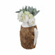 15" Handcrafted Woven Scale Terracotta Fish Vase | Ivory & Natural