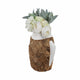 15" Handcrafted Woven Scale Terracotta Fish Vase | Ivory & Natural