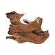 Decorative Swimming Fish on Branch Sculpture | Carved Brown Wood | 12"
