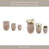Outdoor Planter Set of 3 | Bowl Shape | Ribbed Antique White Terracotta