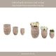 Outdoor Planter Set of 3 | Bowl Shape | Ribbed Antique White Terracotta