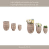 Outdoor Planter Set of 3 | Bowl Shape | Ribbed Antique White Terracotta