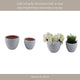 Decorative Planter Set of 2 | Bowl-Shape | Textured Surface | White Clay