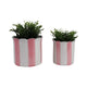 Flower Planter Set of 2 | Striped Pink & White Ceramic | Scallop Edges