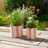 Flower Planter Set of 2 | Striped Pink & White Ceramic | Scallop Edges