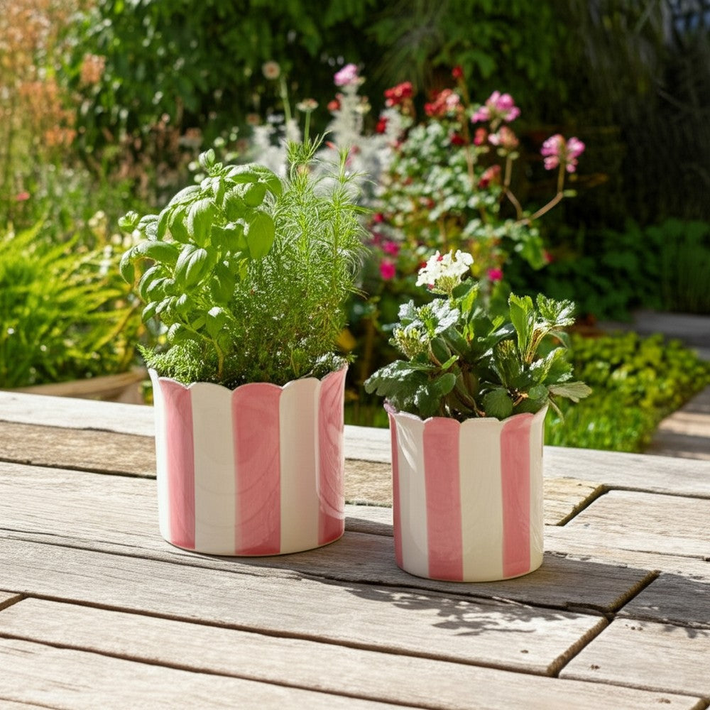 Flower Planter Set of 2 | Striped Pink & White Ceramic | Scallop Edges