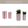 Flower Planter Set of 2 | Striped Pink & White Ceramic | Scallop Edges