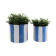 Decorative Garden Planter Set of 2 | Blue White Striped Scalloped Edges