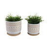 Garden Planters with Saucers Set of 2 | Brown White Ceramic | 6,8"