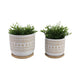 Garden Planters with Saucers Set of 2 | Brown White Ceramic | 6,8"