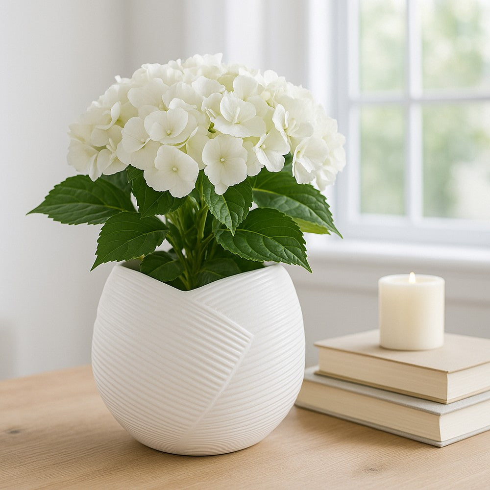 Indoor Outdoor Abstract Flower 8" Planter | White Ribbed Stoneware