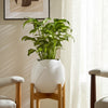 Indoor Outdoor Abstract Flower 8" Planter | White Ribbed Stoneware
