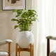 Indoor Outdoor Abstract Flower 8" Planter | White Ribbed Stoneware