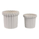 Urit Fluted Planters Set of 2 | Ribbed Sides | Scalloped Rims | Ivory
