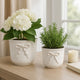 Set of 2 Accent Planter Pots | White Ceramic w Embossed Bow Detail
