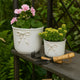 Set of 2 Accent Planter Pots | White Ceramic w Embossed Bow Detail
