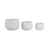 Modern Garden Flower Planter Set of 3 | White Cloudy Petal Ceramic