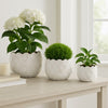 Modern Garden Flower Planter Set of 3 | White Cloudy Petal Ceramic