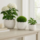 Modern Garden Flower Planter Set of 3 | White Cloudy Petal Ceramic