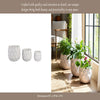 Modern Garden Flower Planter Set of 3 | White Cloudy Petal Ceramic