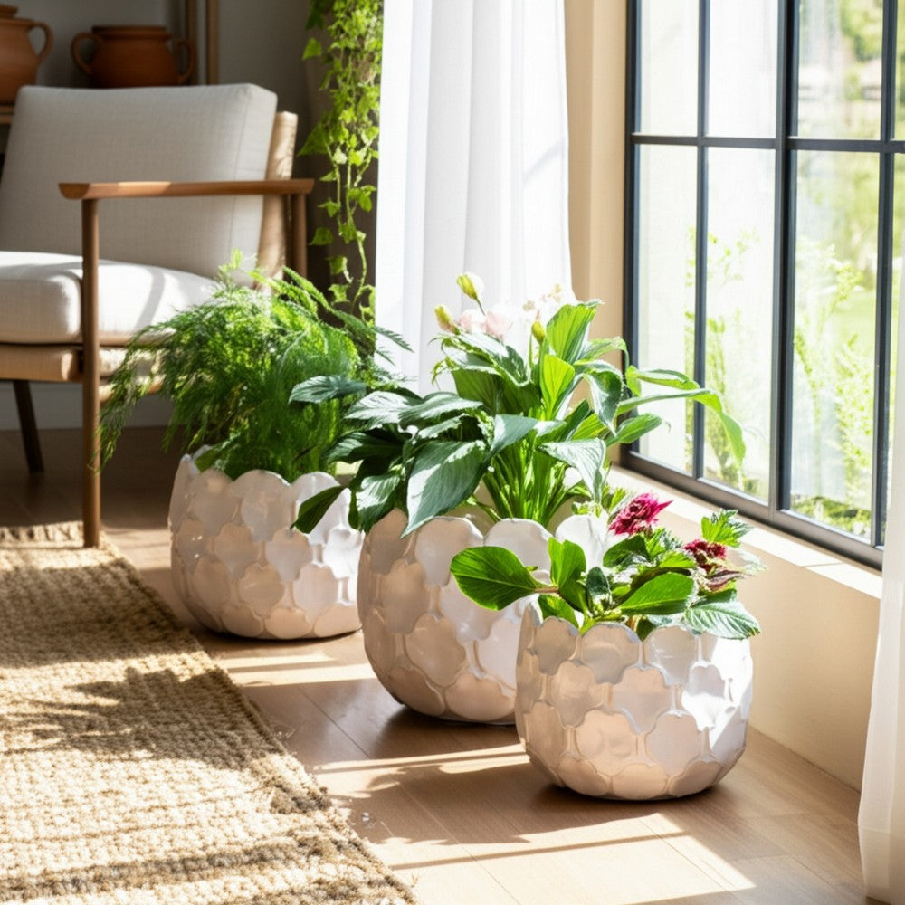 Modern Garden Flower Planter Set of 3 | White Cloudy Petal Ceramic