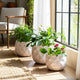 Modern Garden Flower Planter Set of 3 | White Cloudy Petal Ceramic