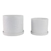 Planter Set of 2 w Saucers | Embossed Daisy Flowers | White Ceramic SBH-21829-03