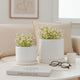 Planter Set of 2 w Saucers | Embossed Daisy Flowers | White Ceramic SBH-21829-03