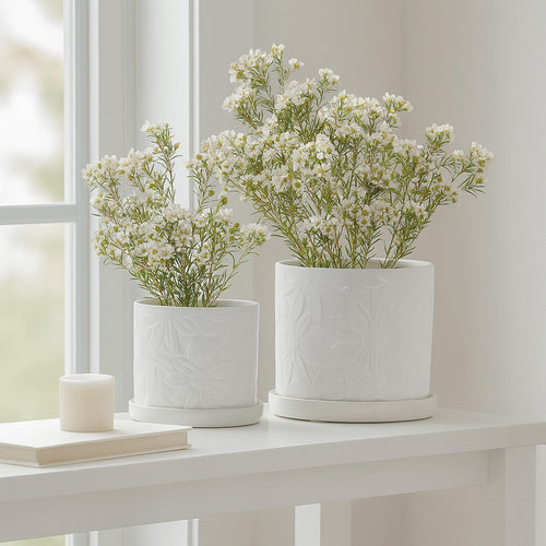 Planter Set of 2 w Saucers | Embossed Daisy Flowers | White Ceramic