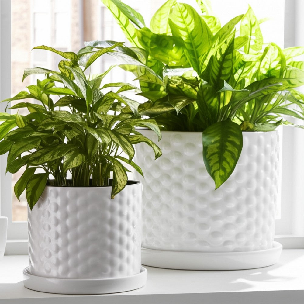 Decorative Planter Set of 2 with Saucers | Bubble Patterned White Ceramic