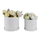 Decorative Planter Set of 2 with Saucers | Bubble Patterned White Ceramic