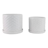 Decorative Planter Set of 2 with Saucers | Bubble Patterned White Ceramic