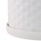 Decorative Planter Set of 2 with Saucers | Bubble Patterned White Ceramic