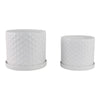 Decorative Planter Set of 2 with Saucers | Bubble Patterned White Ceramic SBH-21847