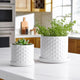 Decorative Planter Set of 2 with Saucers | Bubble Patterned White Ceramic
