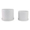 Decorative Planter Set of 2 with Saucers | Bubble Patterned White Ceramic